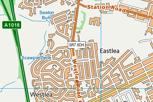 SR7 8DH map - OS VectorMap District (Ordnance Survey)