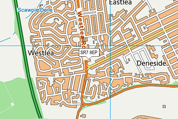 SR7 8EP map - OS VectorMap District (Ordnance Survey)
