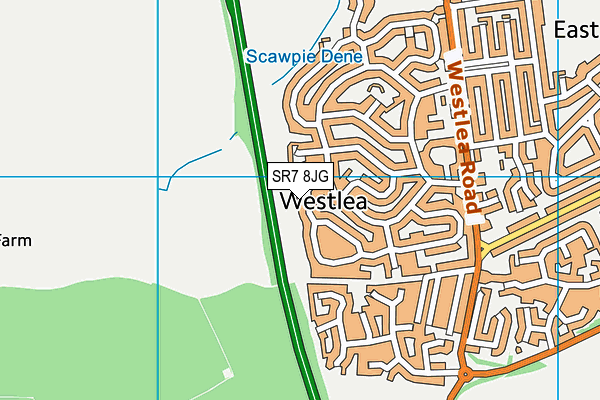 SR7 8JG map - OS VectorMap District (Ordnance Survey)