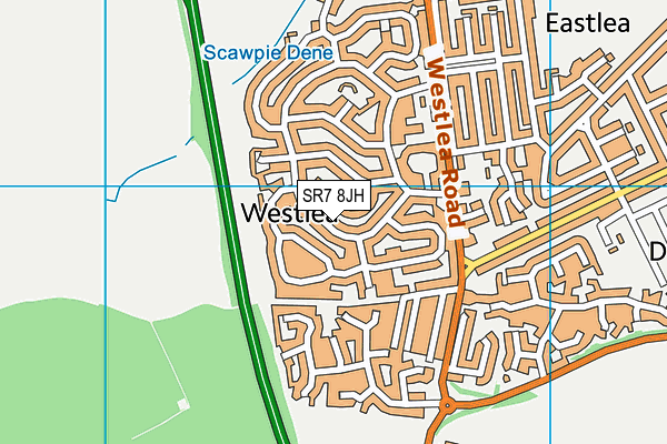 SR7 8JH map - OS VectorMap District (Ordnance Survey)