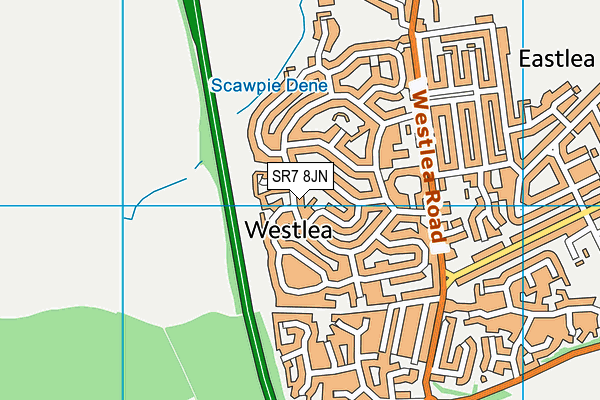 SR7 8JN map - OS VectorMap District (Ordnance Survey)