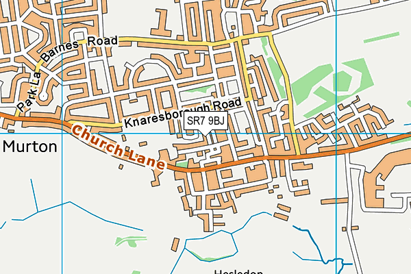 SR7 9BJ map - OS VectorMap District (Ordnance Survey)