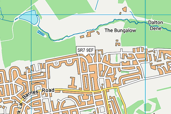 SR7 9EF map - OS VectorMap District (Ordnance Survey)