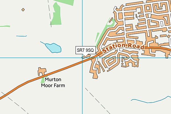 SR7 9SQ map - OS VectorMap District (Ordnance Survey)