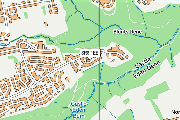 SR8 1EE map - OS VectorMap District (Ordnance Survey)