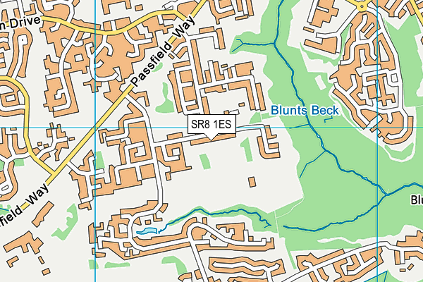 SR8 1ES map - OS VectorMap District (Ordnance Survey)