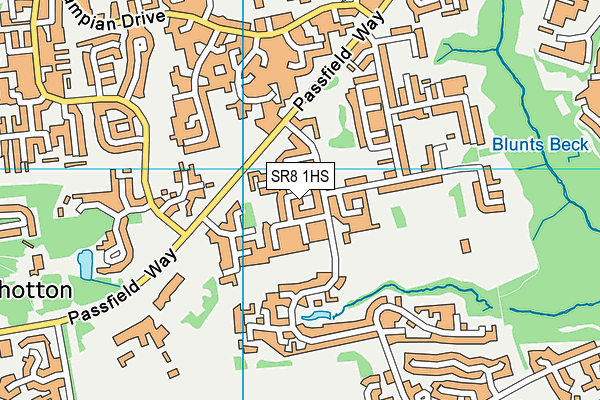 SR8 1HS map - OS VectorMap District (Ordnance Survey)