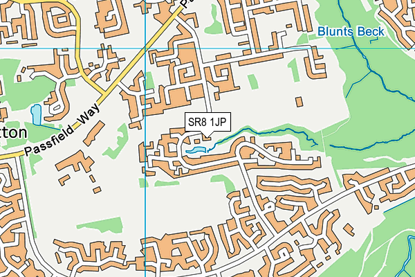 SR8 1JP map - OS VectorMap District (Ordnance Survey)