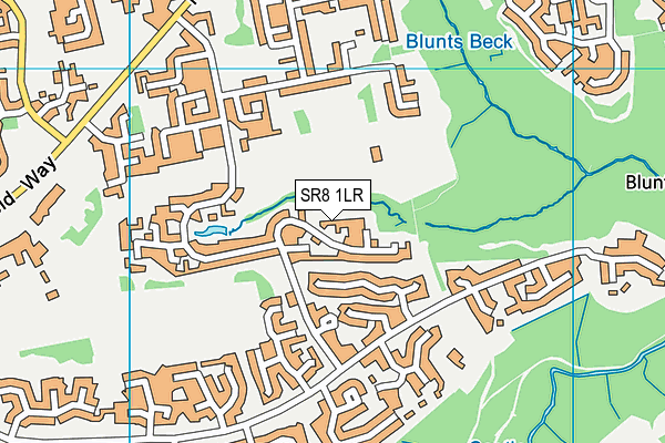 SR8 1LR map - OS VectorMap District (Ordnance Survey)