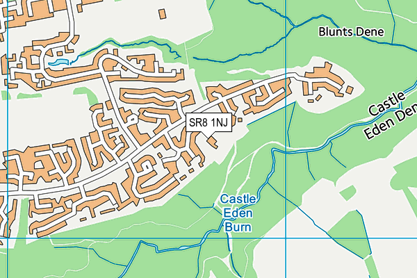 SR8 1NJ map - OS VectorMap District (Ordnance Survey)