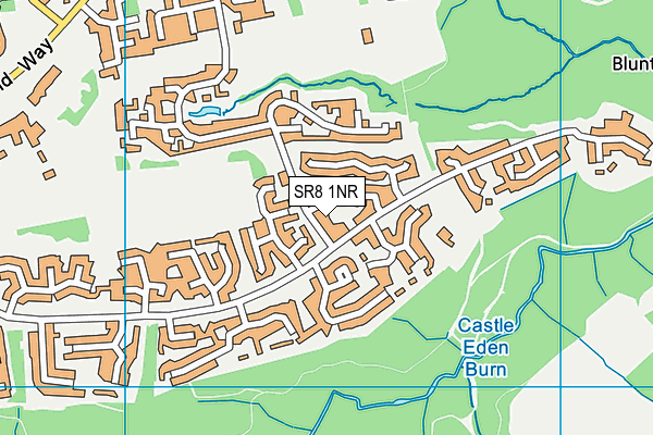 SR8 1NR map - OS VectorMap District (Ordnance Survey)