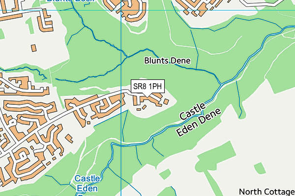 SR8 1PH map - OS VectorMap District (Ordnance Survey)
