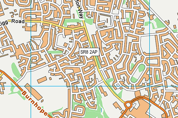SR8 2AP map - OS VectorMap District (Ordnance Survey)