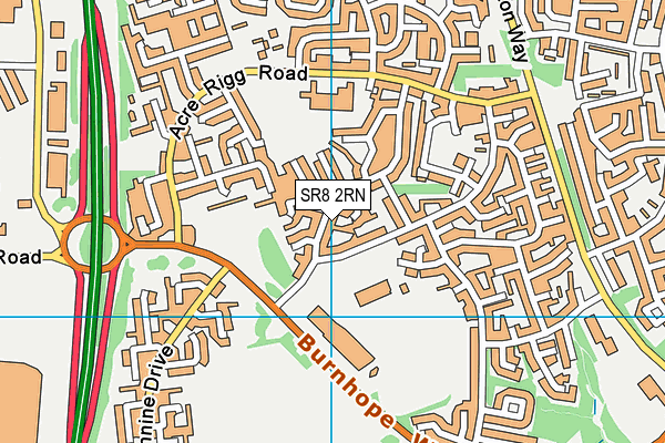 Endeavour Academy Durham map (SR8 2RN) - OS VectorMap District (Ordnance Survey)