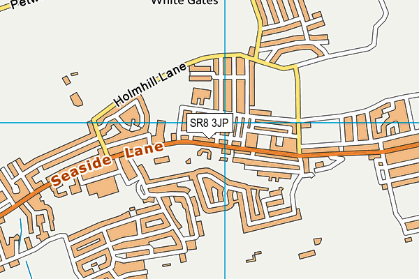 SR8 3JP map - OS VectorMap District (Ordnance Survey)