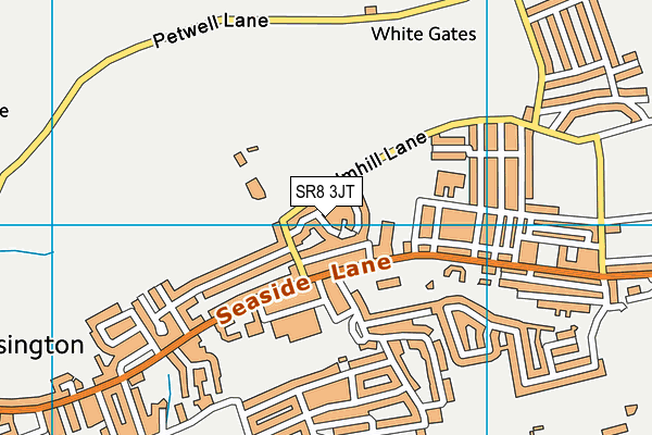 SR8 3JT map - OS VectorMap District (Ordnance Survey)