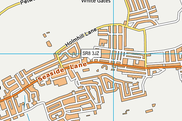SR8 3JZ map - OS VectorMap District (Ordnance Survey)