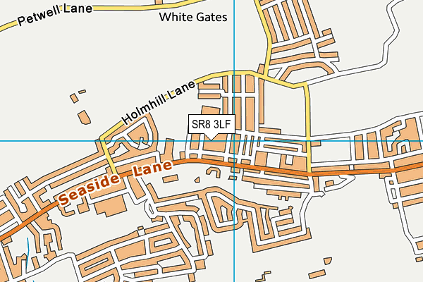 SR8 3LF map - OS VectorMap District (Ordnance Survey)