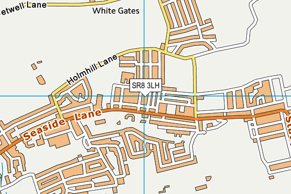 SR8 3LH map - OS VectorMap District (Ordnance Survey)