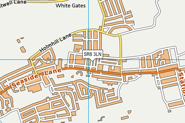 SR8 3LN map - OS VectorMap District (Ordnance Survey)