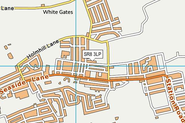 SR8 3LP map - OS VectorMap District (Ordnance Survey)