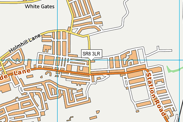 SR8 3LR map - OS VectorMap District (Ordnance Survey)