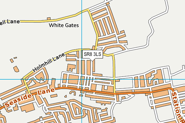SR8 3LS map - OS VectorMap District (Ordnance Survey)