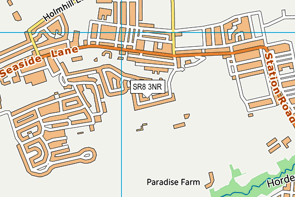 Easington Welfare Park map (SR8 3NR) - OS VectorMap District (Ordnance Survey)