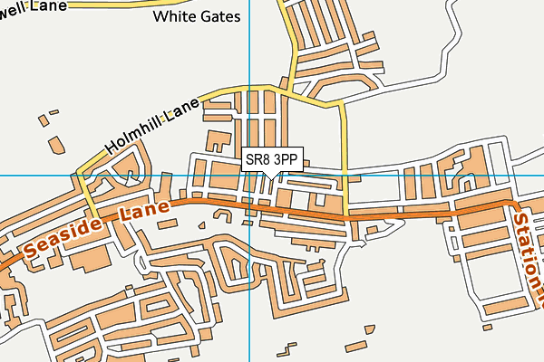 Inta Fitness Leisure Ltd map (SR8 3PP) - OS VectorMap District (Ordnance Survey)