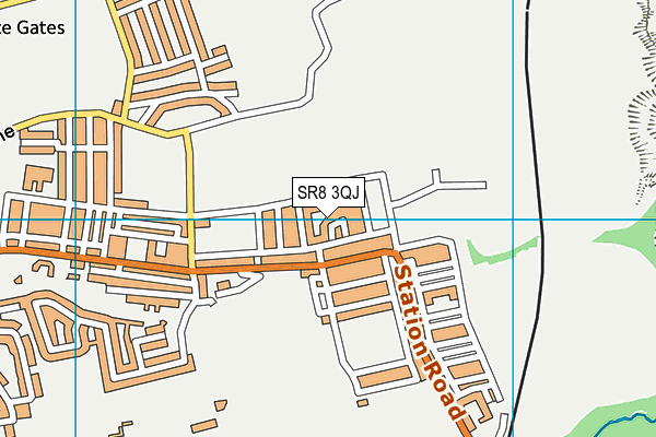 SR8 3QJ map - OS VectorMap District (Ordnance Survey)