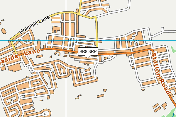 SR8 3RP map - OS VectorMap District (Ordnance Survey)
