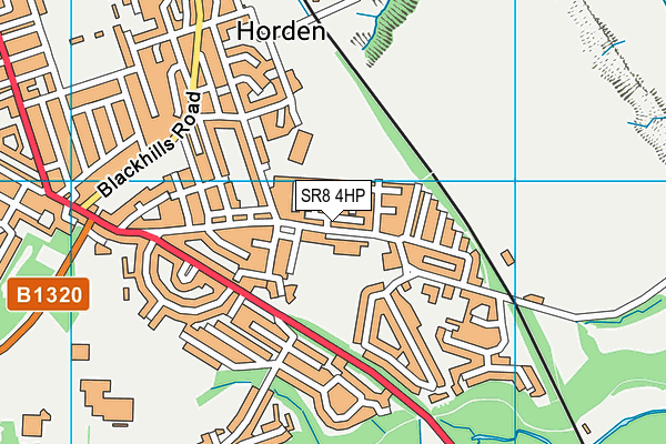 Yohden Primary School map (SR8 4HP) - OS VectorMap District (Ordnance Survey)