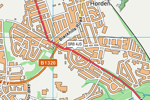 SR8 4JS map - OS VectorMap District (Ordnance Survey)