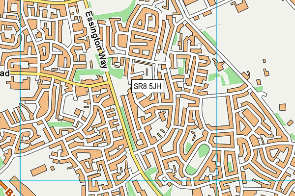 SR8 5JH map - OS VectorMap District (Ordnance Survey)