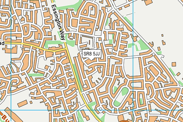 SR8 5JJ map - OS VectorMap District (Ordnance Survey)