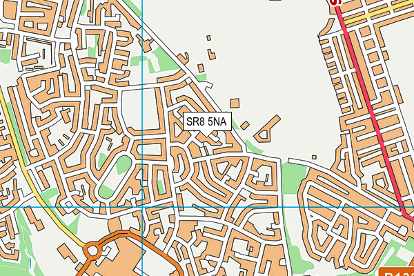 SR8 5NA map - OS VectorMap District (Ordnance Survey)