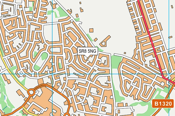 SR8 5NG map - OS VectorMap District (Ordnance Survey)