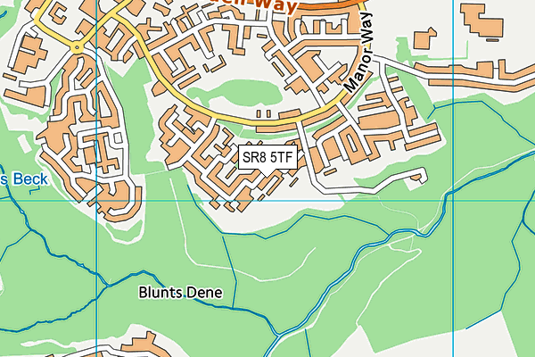 SR8 5TF map - OS VectorMap District (Ordnance Survey)