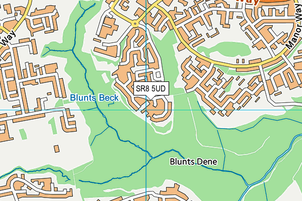 SR8 5UD map - OS VectorMap District (Ordnance Survey)