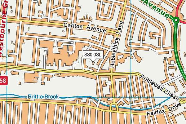 SS0 0SL map - OS VectorMap District (Ordnance Survey)