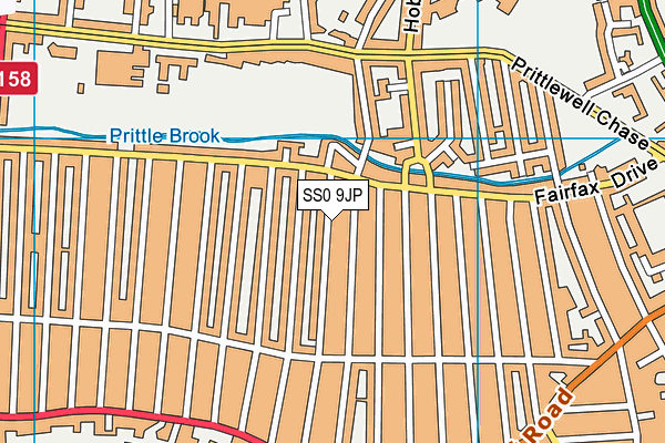 SS0 9JP map - OS VectorMap District (Ordnance Survey)