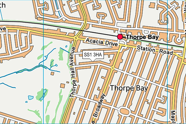 SS1 3HA map - OS VectorMap District (Ordnance Survey)