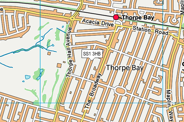 SS1 3HB map - OS VectorMap District (Ordnance Survey)