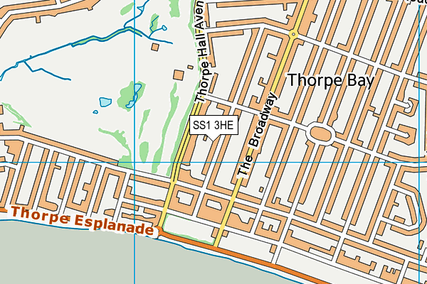 SS1 3HE map - OS VectorMap District (Ordnance Survey)