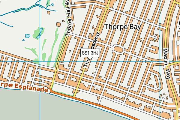 SS1 3HJ map - OS VectorMap District (Ordnance Survey)