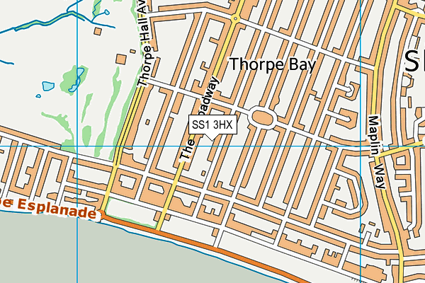 SS1 3HX map - OS VectorMap District (Ordnance Survey)