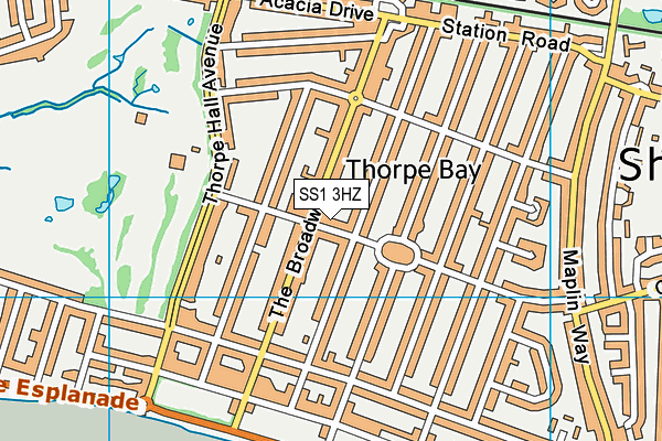 SS1 3HZ map - OS VectorMap District (Ordnance Survey)