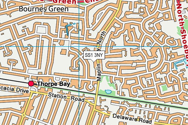 SS1 3NY map - OS VectorMap District (Ordnance Survey)