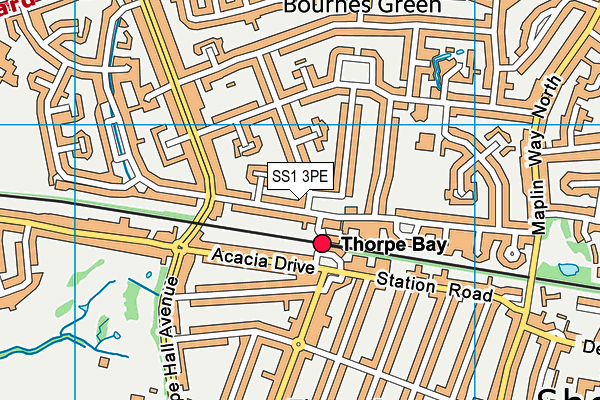 SS1 3PE map - OS VectorMap District (Ordnance Survey)
