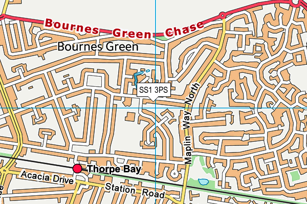 Bournes Green Infant School map (SS1 3PS) - OS VectorMap District (Ordnance Survey)